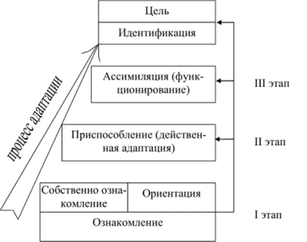 Коллектив в психологии. Что это, виды, этапы формирования отношений