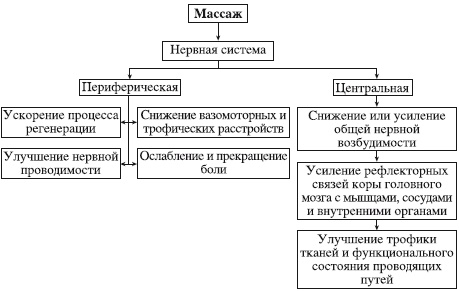 что нужно знать массажисту о мышцах и анатомии. Смотреть фото что нужно знать массажисту о мышцах и анатомии. Смотреть картинку что нужно знать массажисту о мышцах и анатомии. Картинка про что нужно знать массажисту о мышцах и анатомии. Фото что нужно знать массажисту о мышцах и анатомии