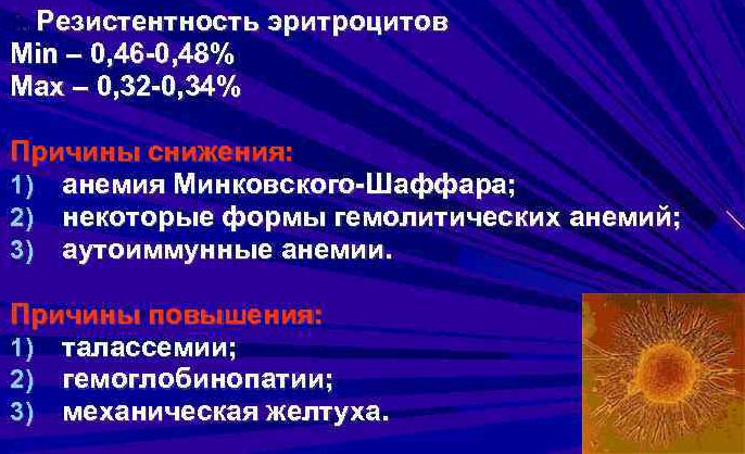 Осмотическая резистентность эритроцитов. Что это такое, как определяется, метод