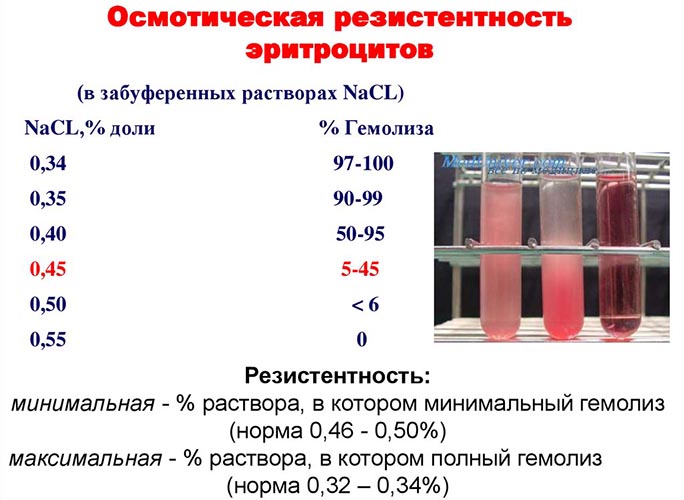 Осмотическая резистентность эритроцитов. Что это такое, как определяется, метод