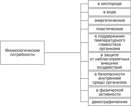 Пирамида потребностей Маслоу 5 уровней. Пояснение