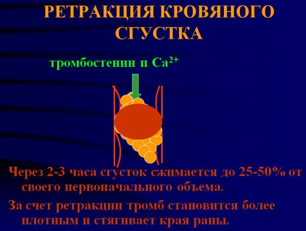 Ретракция кровяного сгустка. Что это такое, как определяется, функция, норма у детей