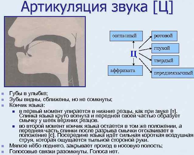 Упражнения на дикцию и артикуляцию для вокалистов, детей