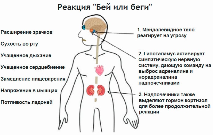 Маленькие, узкие зрачки у человека. Причины