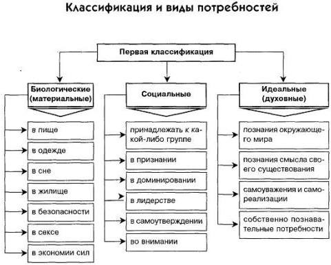 Виды потребностей в психологии по Маслоу, происхождению с примерами