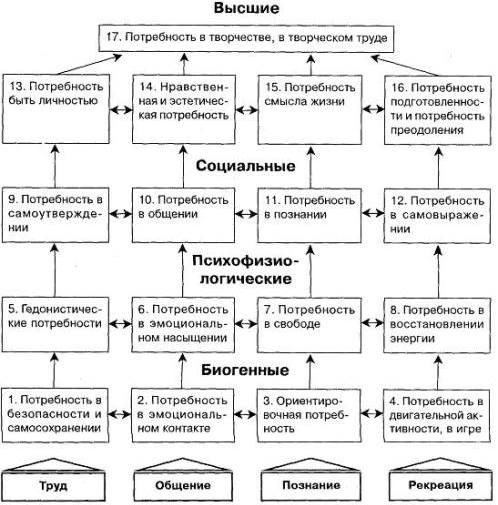 Виды потребностей в психологии по Маслоу, происхождению с примерами