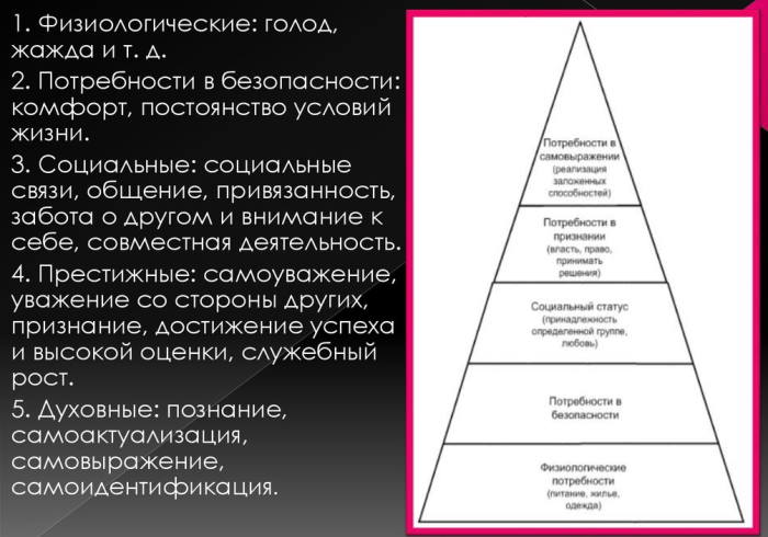 Виды потребностей в психологии по Маслоу, происхождению с примерами