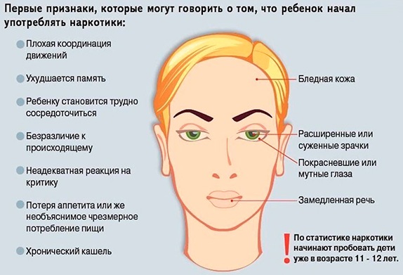 Влияние вредных привычек на организм человека картинки