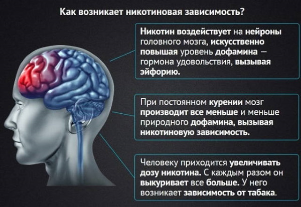 Зависимость в психологии. Что это, термин, определение, виды