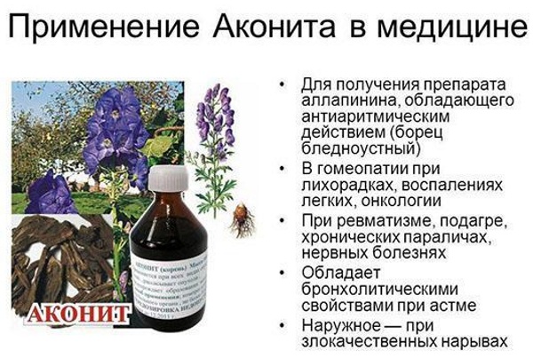 Аконитум (Aconitum) гомеопатия. Инструкция, показания к применению детям, взрослым