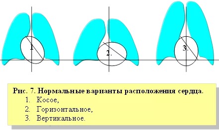 АФО ССС у детей (анатомо-физиологические особенности сердечно-сосудистой системы)