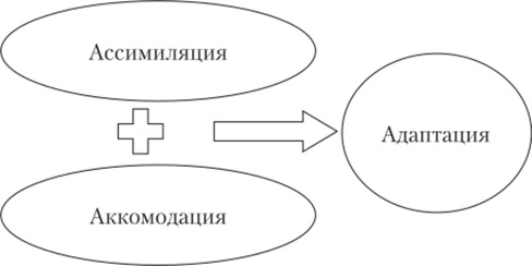 Аккомодация в психологии. Что это, восприятие развития, определение