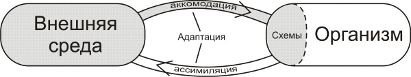 Аккомодация в психологии. Что это, восприятие развития, определение