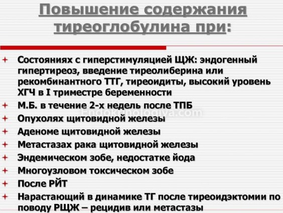 Анти ТГ (антитела к тиреоглобулину). Что это за гормон, норма