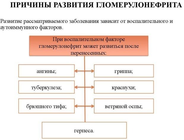 Гломерулонефрит у детей, взрослых. Диагностика, тактика лечения