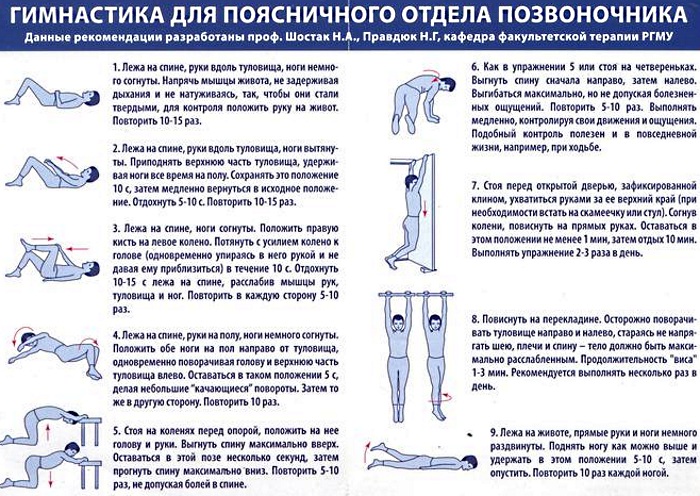 L5 S1 Где Находится У Человека Фото