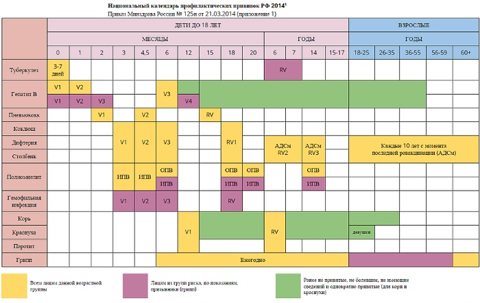 Прививки по возрасту взрослых. Таблица, какие положены