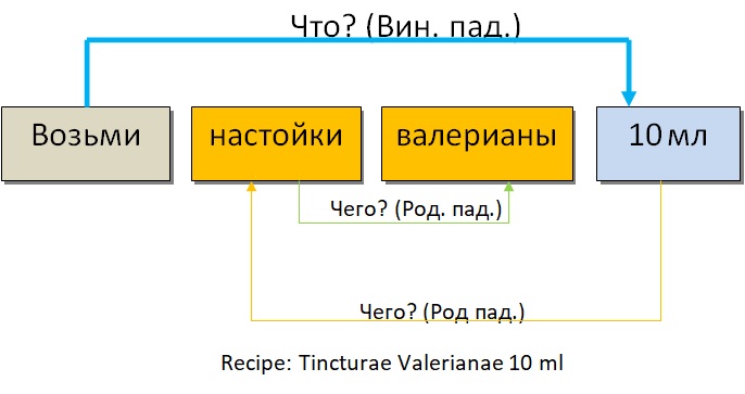 Рецепты на латыни, фармакология. Правила, примеры с переводом