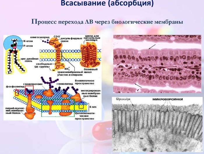 Синергизм в фармакологии. Что это такое, виды, примеры препаратов