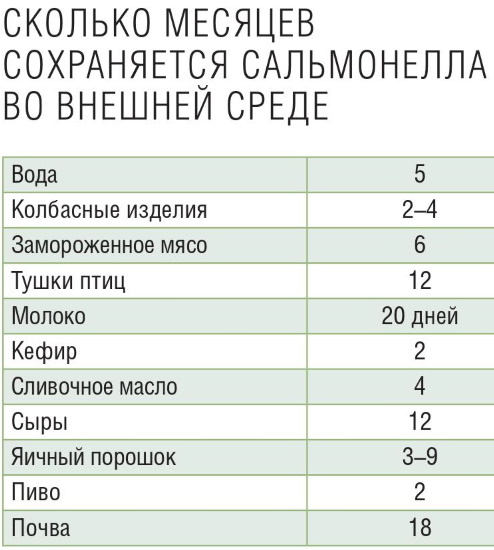 Болезнь от сырых яиц куриных Сальмонеллез. Симптомы