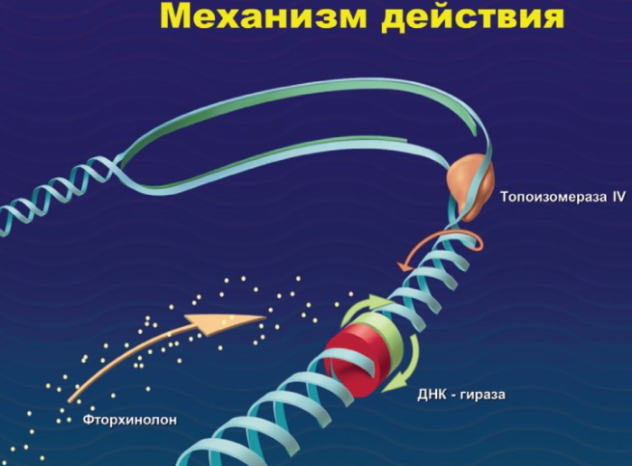 Фторхинолоны. Препараты, список антибиотиков 3-4 поколение