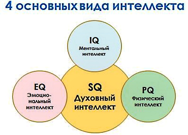 Интеллект в психологии. Что это такое, виды, эмоциональный, общий, социальный