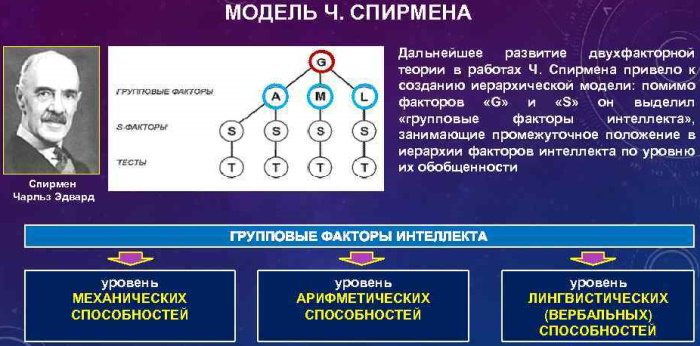 Интеллект в психологии. Что это такое, виды, эмоциональный, общий, социальный