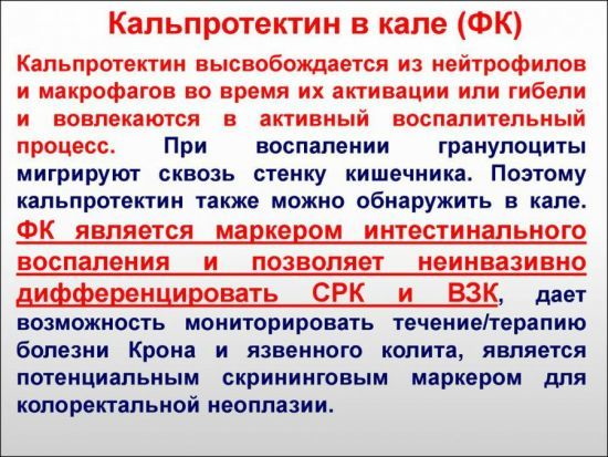 Кальпротектин фекальный в гемотесте. Норма у взрослых, детей, что значит повышен, понижен