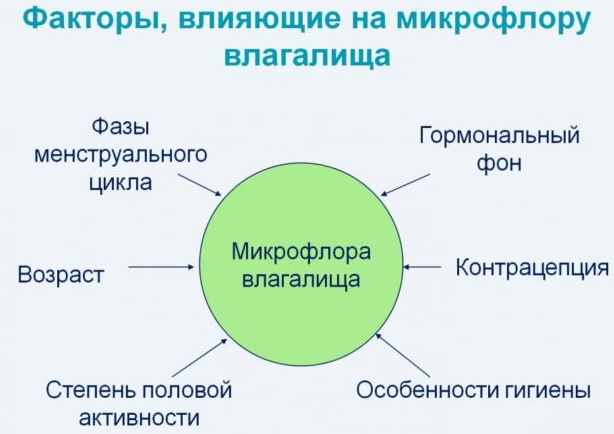 Микрофлора влагалища. Норма в мазке у женщин, как нормализовать