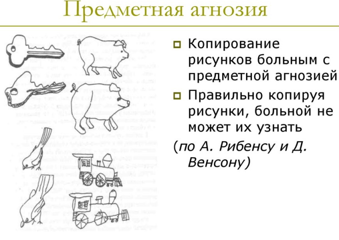 Модальность в психологии. Что это, определение, примеры восприятия ощущений