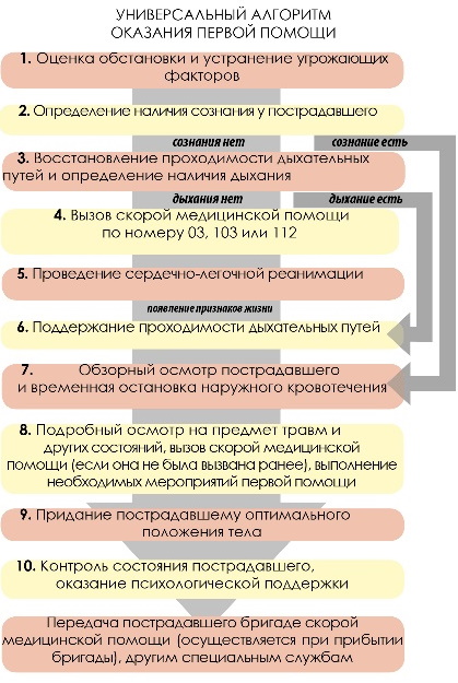 Неотложная медицинская помощь это: определение, мероприятия