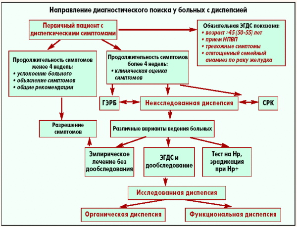 Диспепсия желудка. Что это, симптомы и лечение