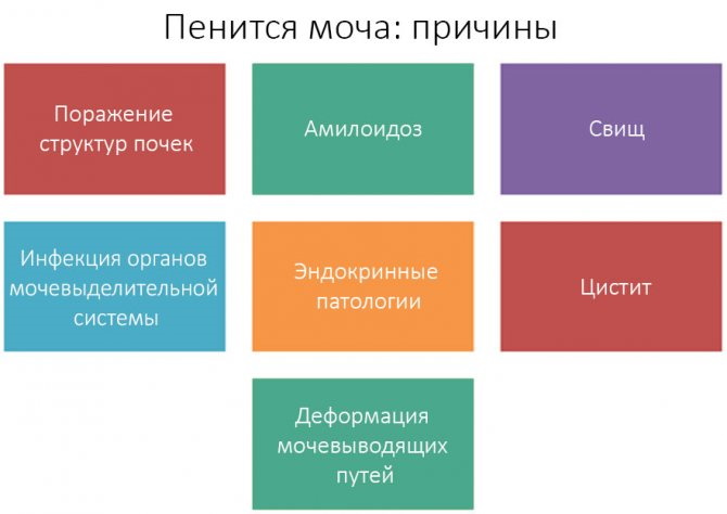 Пена в моче у женщин. Причины и лечение в домашних условиях