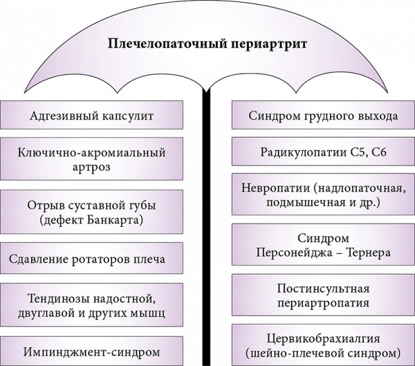 Плечелопаточный периартрит. Лечение медикаментозное, ЛФК, препараты