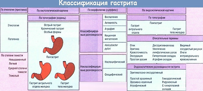 Обострение гастрита. Симптомы и лечение у взрослых летом, весной, зимой