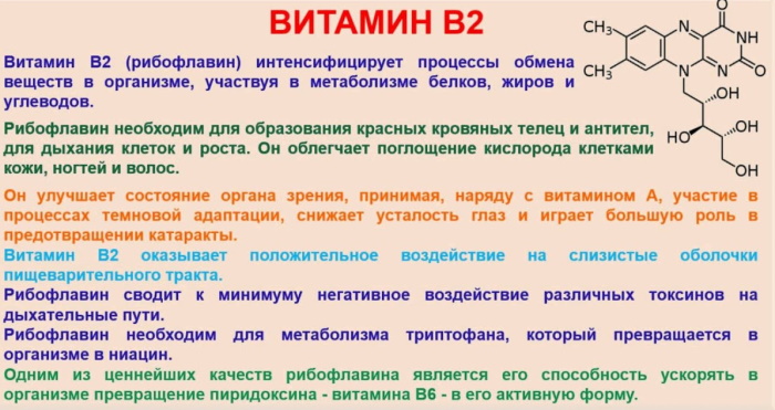 Рибофлавин (Riboflavinum) капли для глаз. Инструкция по применению, цена, отзывы