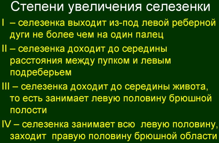 Заболевания селезенки. Симптомы и лечение у женщин, мужчин