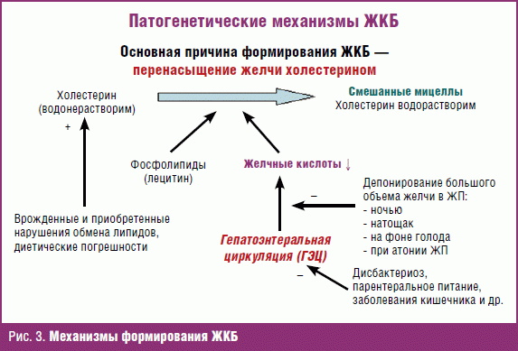 ЖКБ. Симптомы и лечение у взрослых медикаментозно, диета