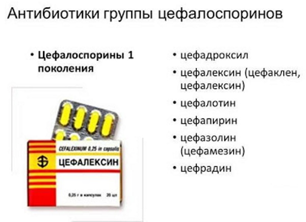 Антибиотики не пенициллинового ряда. Список