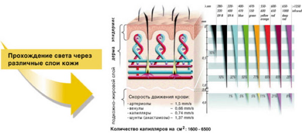 Биоптрон (Bioptron) лампа. Инструкция по применению, показания, цена, отзывы