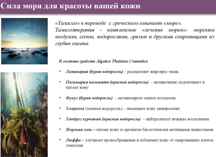 Ирландский мох для чего применяют. Смотреть фото Ирландский мох для чего применяют. Смотреть картинку Ирландский мох для чего применяют. Картинка про Ирландский мох для чего применяют. Фото Ирландский мох для чего применяют