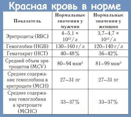 Чем поднять эритроциты в домашних условиях. Смотреть фото Чем поднять эритроциты в домашних условиях. Смотреть картинку Чем поднять эритроциты в домашних условиях. Картинка про Чем поднять эритроциты в домашних условиях. Фото Чем поднять эритроциты в домашних условиях