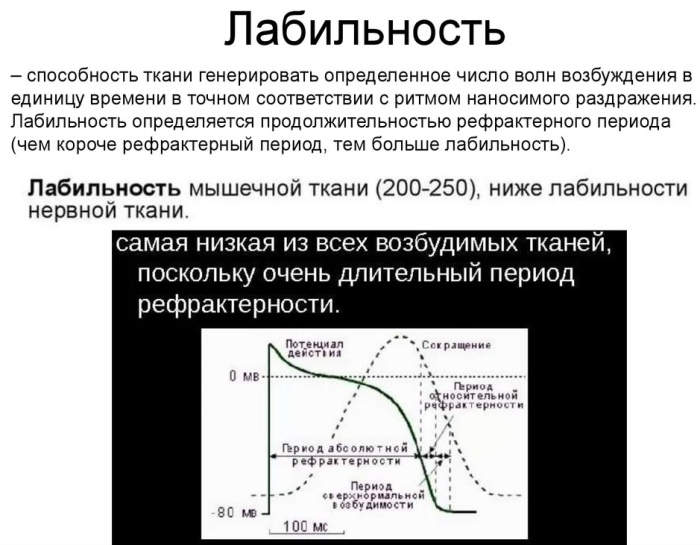 Лабильность в физиологии. Что это такое, суть