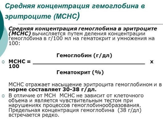 MCHC в анализе крови повышен у ребенка. Причины