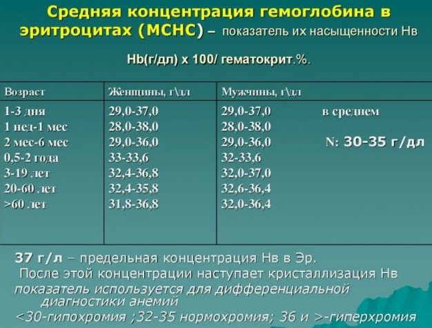 MCHC в анализе крови повышен у ребенка. Причины