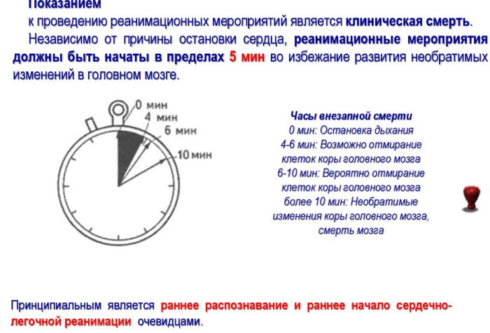 Остановка кровообращения. Клинические признаки