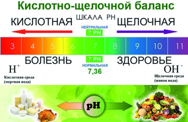 Продукты, повышающие кислотность желудка. Список продуктов