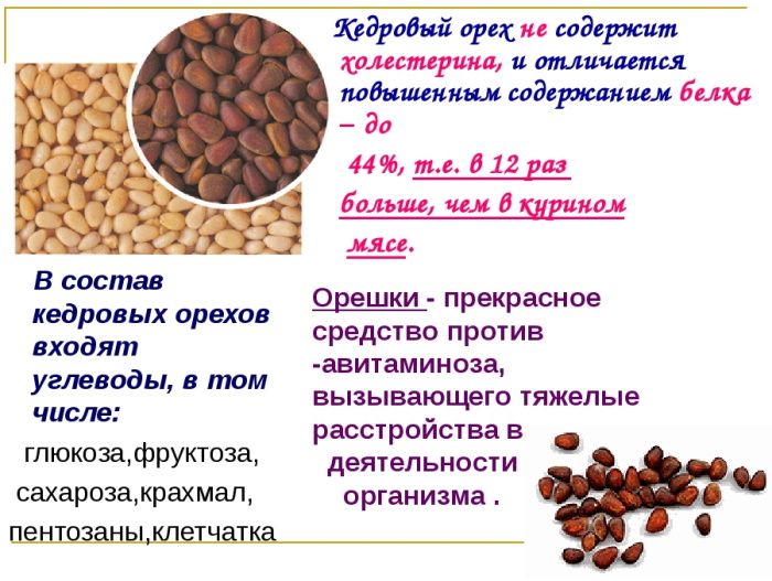 Для чего используют кедровую скорлупу. Смотреть фото Для чего используют кедровую скорлупу. Смотреть картинку Для чего используют кедровую скорлупу. Картинка про Для чего используют кедровую скорлупу. Фото Для чего используют кедровую скорлупу