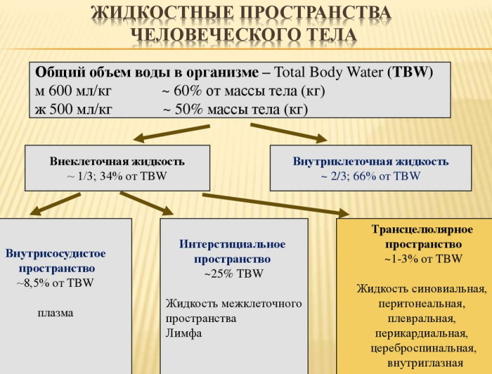 Водно-электролитный баланс. Что это, значение в организме