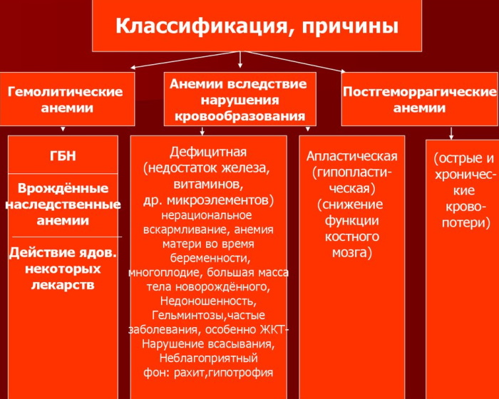 Заболевания крови у взрослых. Симптомы и причины